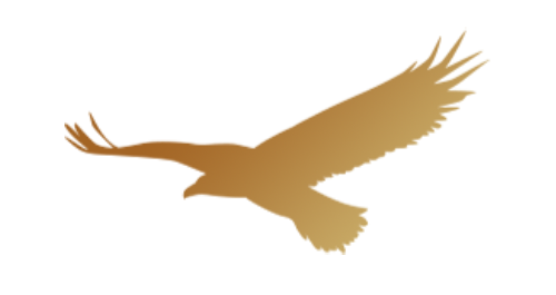 eagle shape 1